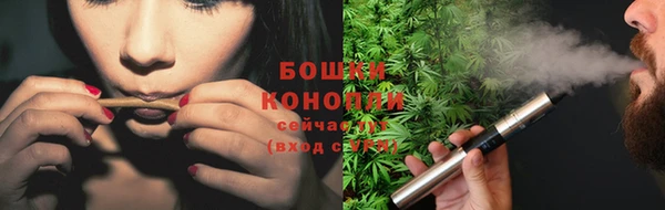 твердый Малоархангельск