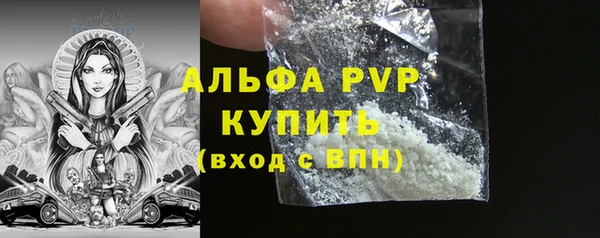 скорость Новозыбков