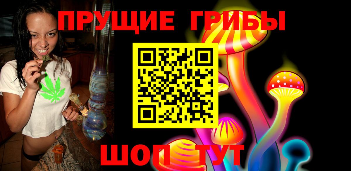 Прохладный  Псилоцибиновые грибы Psilocybine cubensis  Вход с VPN 