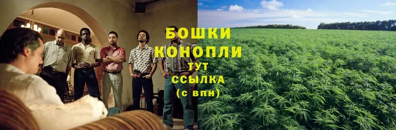 Бошки Шишки THC 21%  Прохладный 