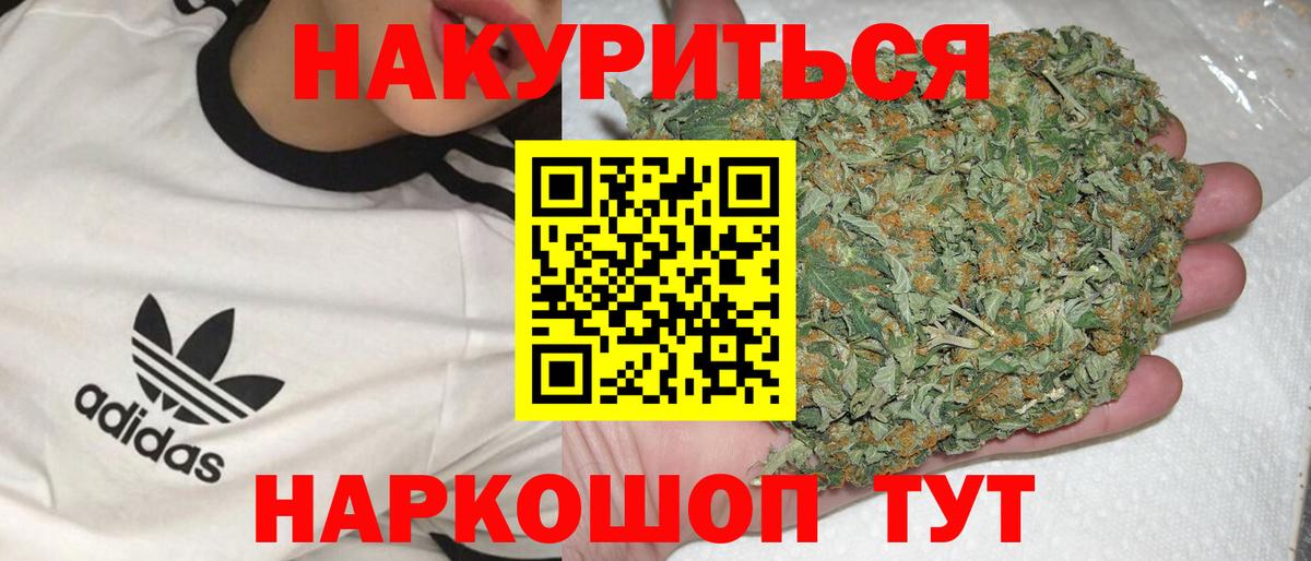 Марихуана сатива Прохладный